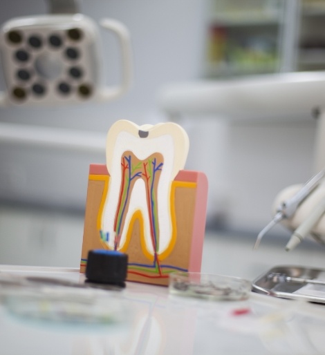 Model of a decayed tooth on a desk